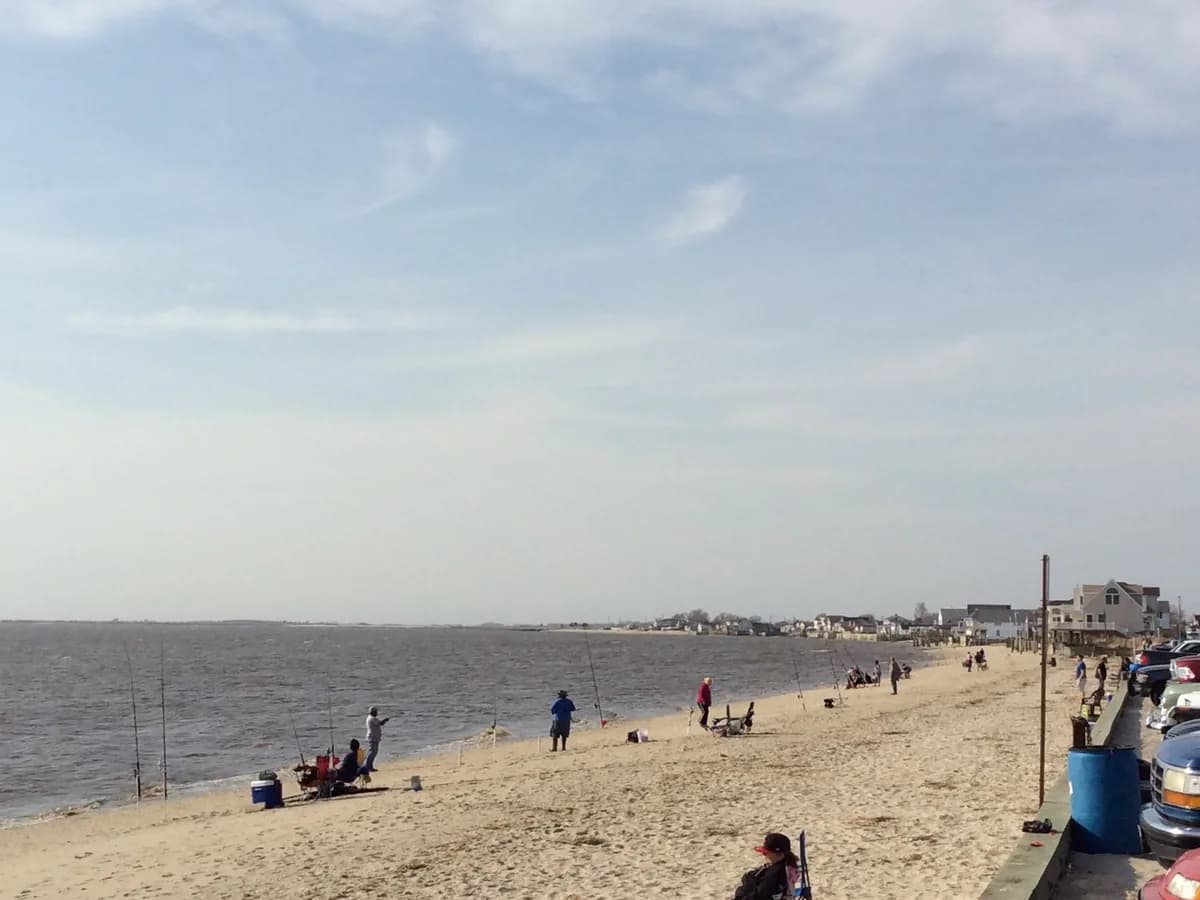 People on the beach at Fortescue looking down the Delaware Bayshore