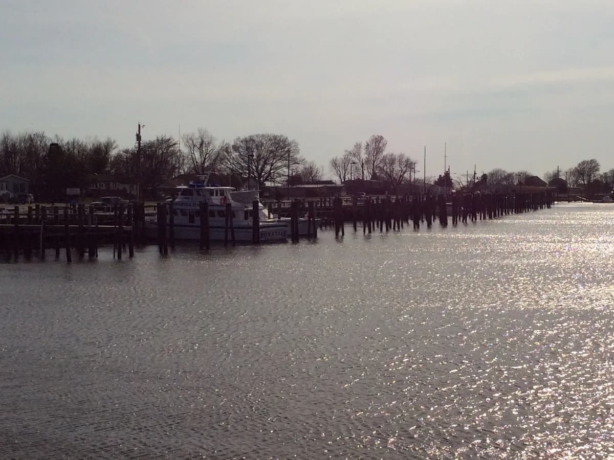 Creek at Fortescue lined with weathered pilings