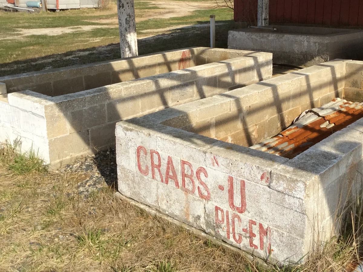 Concrete crab steaming troughs hand-painted CRABS-U-PIC-EM